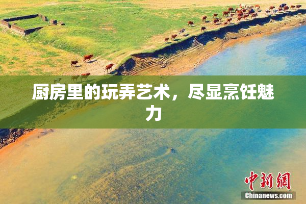 厨房里的玩弄艺术，尽显烹饪魅力