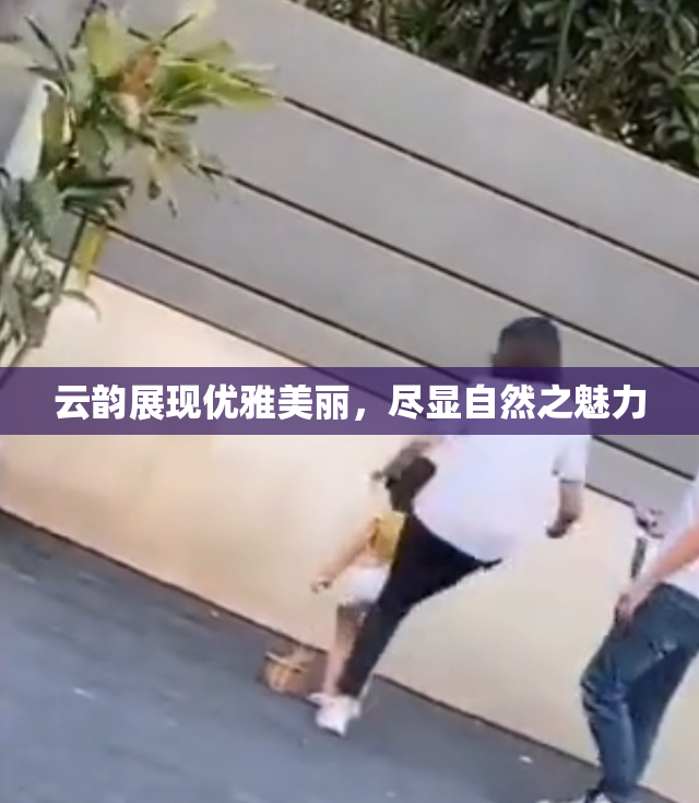 云韵展现优雅美丽，尽显自然之魅力