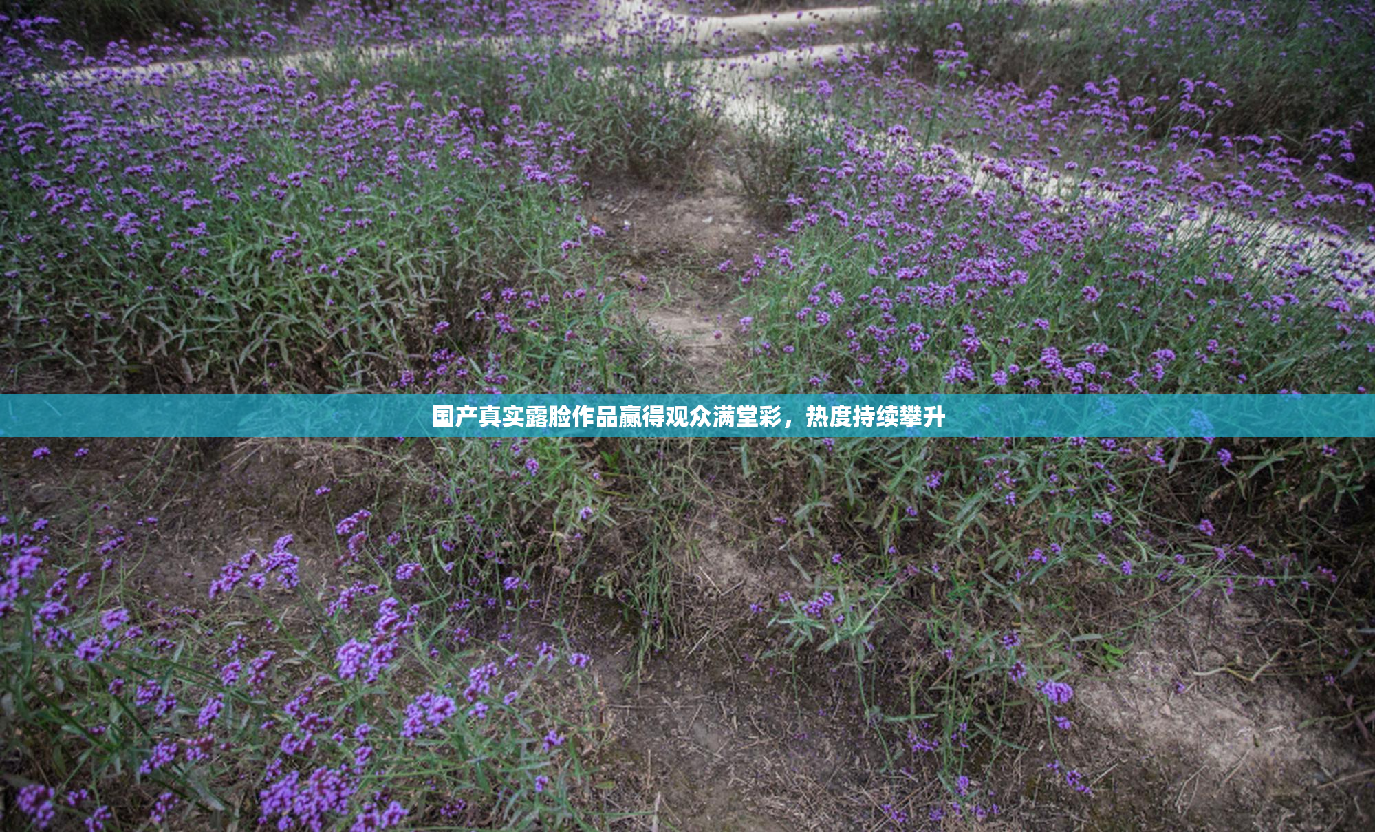 国产真实露脸作品赢得观众满堂彩，热度持续攀升