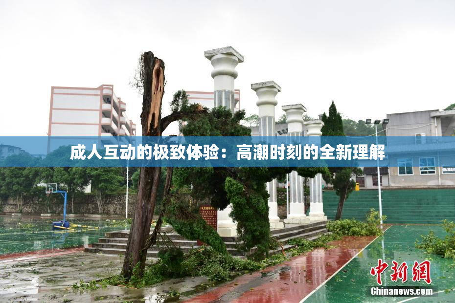 成人互动的极致体验：高潮时刻的全新理解