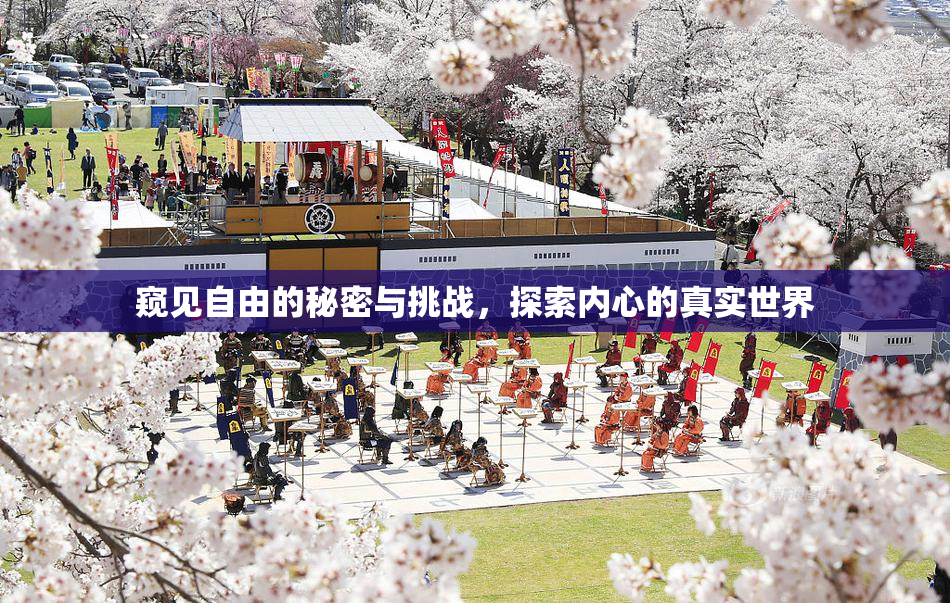 窥见自由的秘密与挑战，探索内心的真实世界