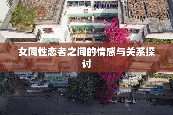 女同性恋者之间的情感与关系探讨