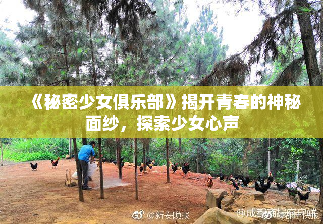 《秘密少女俱乐部》揭开青春的神秘面纱，探索少女心声