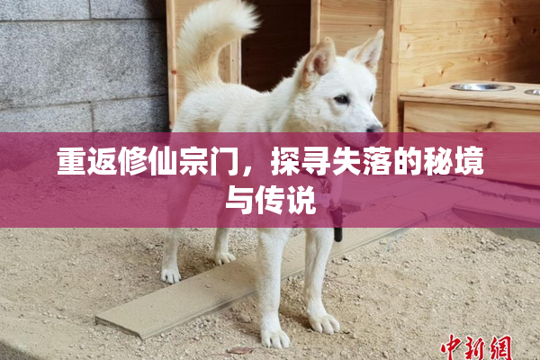 重返修仙宗门，探寻失落的秘境与传说