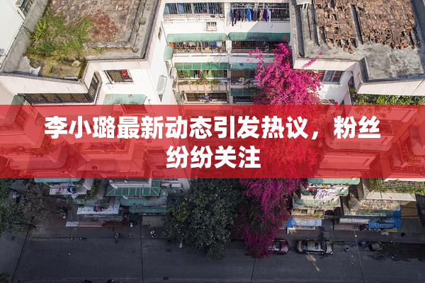 李小璐最新动态引发热议，粉丝纷纷关注