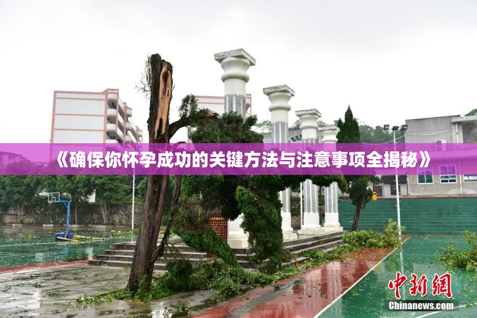 《确保你怀孕成功的关键方法与注意事项全揭秘》
