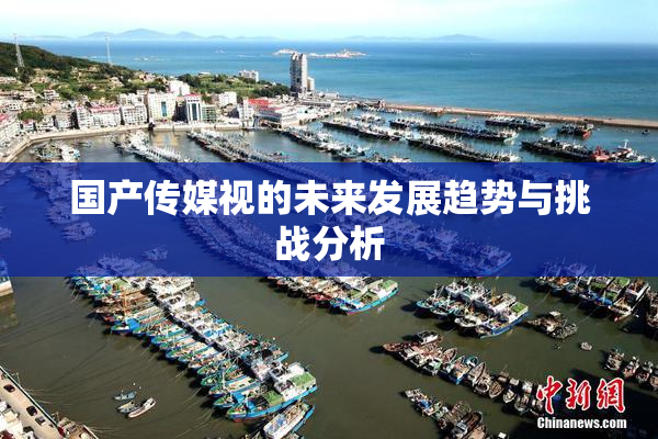 国产传媒视的未来发展趋势与挑战分析