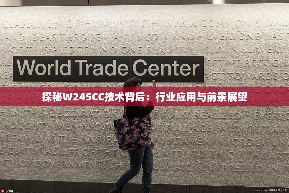 探秘W245CC技术背后：行业应用与前景展望