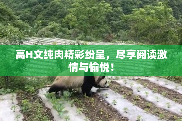 高H文纯肉精彩纷呈，尽享阅读激情与愉悦！
