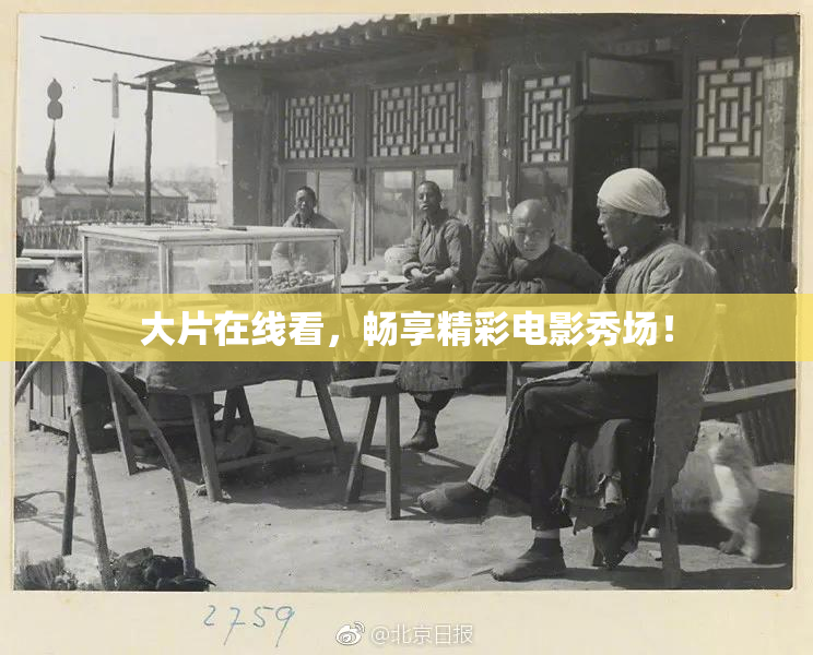 大片在线看，畅享精彩电影秀场！