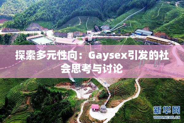 探索多元性向：Gaysex引发的社会思考与讨论