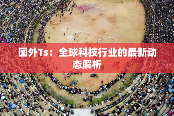 国外Ts：全球科技行业的最新动态解析