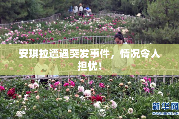 安琪拉遭遇突发事件，情况令人担忧！