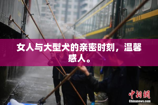 女人与大型犬的亲密时刻，温馨感人。