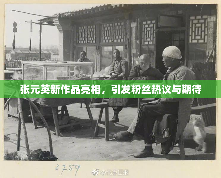 张元英新作品亮相，引发粉丝热议与期待