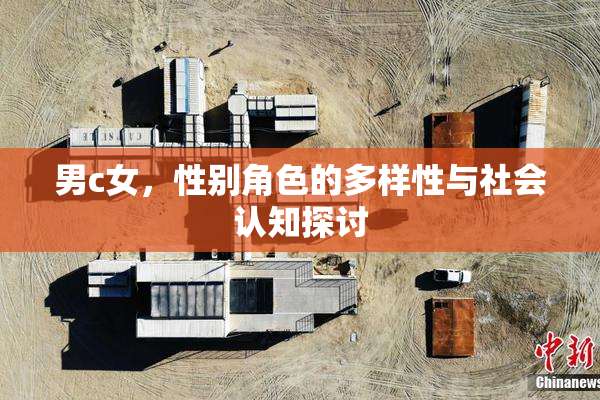男c女，性别角色的多样性与社会认知探讨