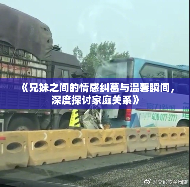 《兄妹之间的情感纠葛与温馨瞬间，深度探讨家庭关系》