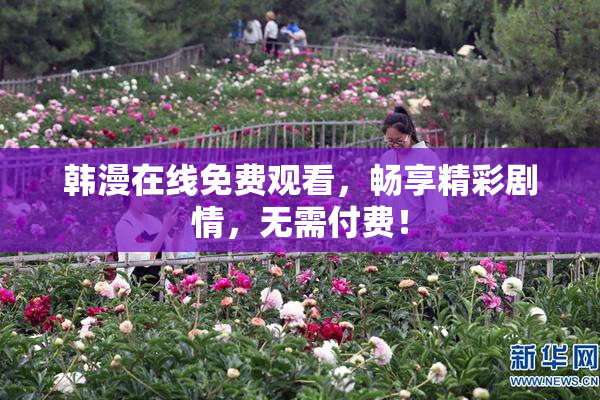 韩漫在线免费观看，畅享精彩剧情，无需付费！