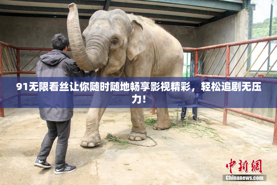 91无限看丝让你随时随地畅享影视精彩，轻松追剧无压力！