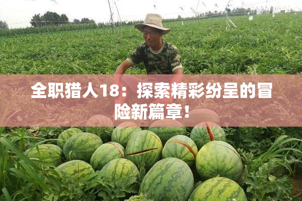 全职猎人18：探索精彩纷呈的冒险新篇章！