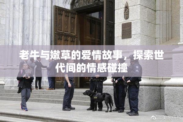 老牛与嫩草的爱情故事，探索世代间的情感碰撞