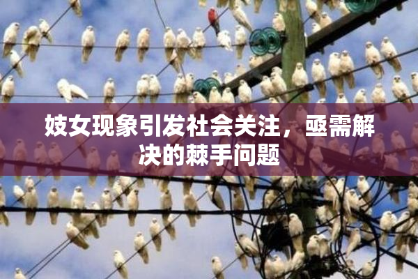 妓女现象引发社会关注，亟需解决的棘手问题