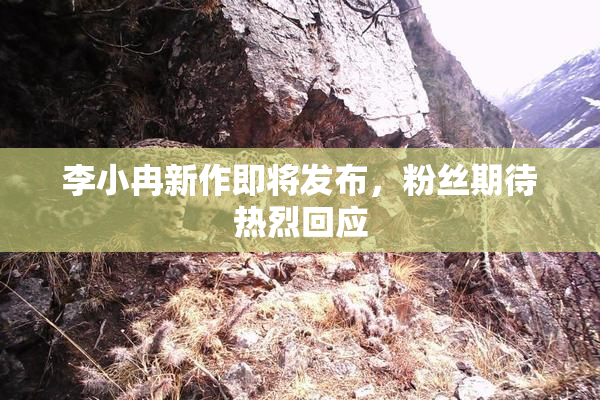 李小冉新作即将发布，粉丝期待热烈回应