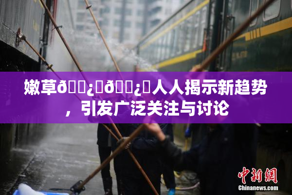 嫩草🌿‌🌿‌人人揭示新趋势，引发广泛关注与讨论