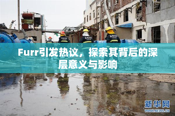 Furr引发热议，探索其背后的深层意义与影响