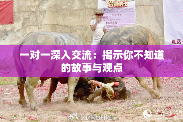 一对一深入交流：揭示你不知道的故事与观点