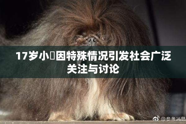 17岁小泬因特殊情况引发社会广泛关注与讨论