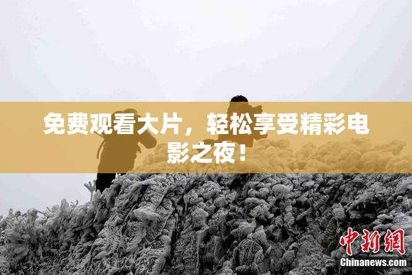 免费观看大片，轻松享受精彩电影之夜！