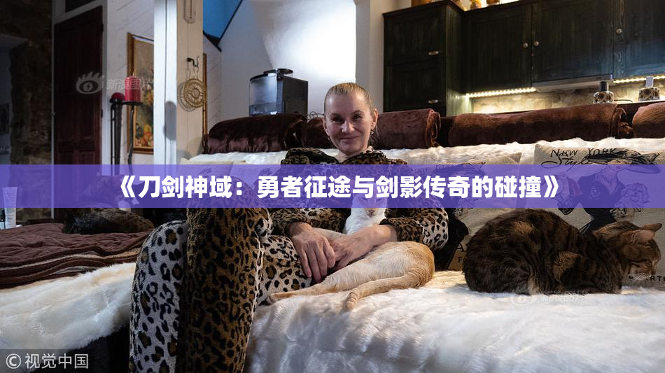 《刀剑神域：勇者征途与剑影传奇的碰撞》