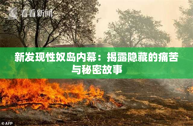 新发现性奴岛内幕：揭露隐藏的痛苦与秘密故事