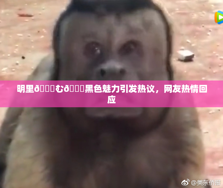 明里😚む🍍黑色魅力引发热议，网友热情回应