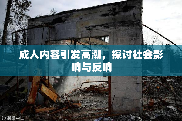 成人内容引发高潮，探讨社会影响与反响