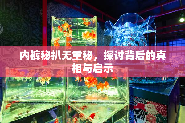 内裤秘扒无重秘，探讨背后的真相与启示