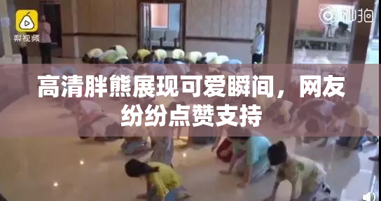 高清胖熊展现可爱瞬间，网友纷纷点赞支持