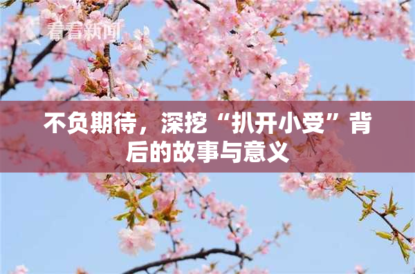 不负期待，深挖“扒开小受”背后的故事与意义