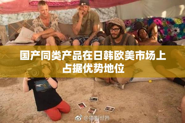 国产同类产品在日韩欧美市场上占据优势地位