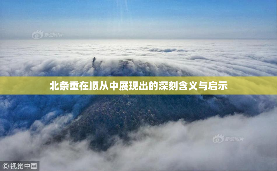 北条重在顺从中展现出的深刻含义与启示