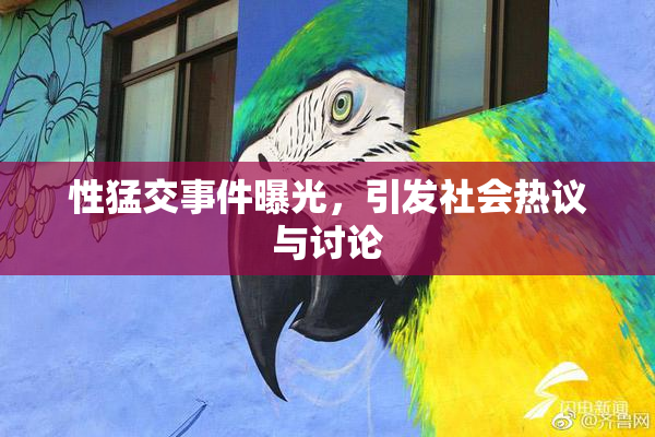 性猛交事件曝光，引发社会热议与讨论
