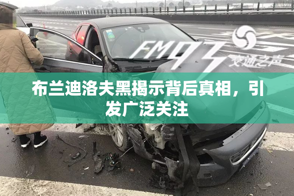 布兰迪洛夫黑揭示背后真相，引发广泛关注