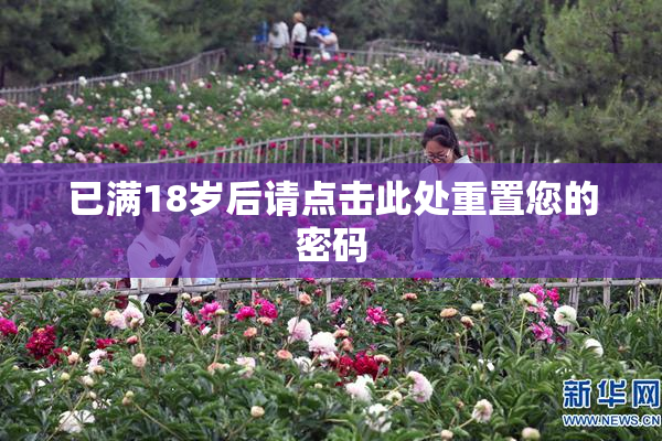 已满18岁后请点击此处重置您的密码