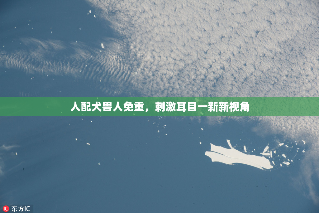 人配犬兽人免重，刺激耳目一新新视角