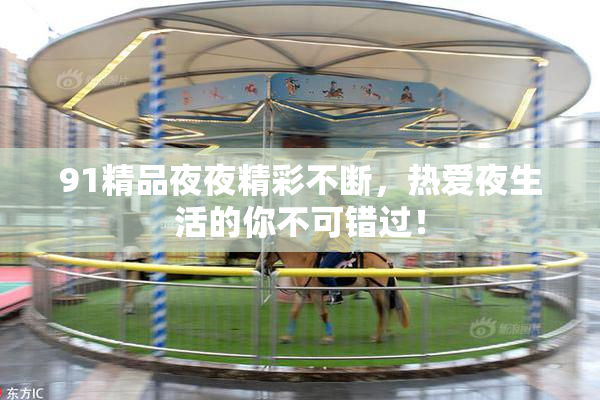 91精品夜夜精彩不断，热爱夜生活的你不可错过！