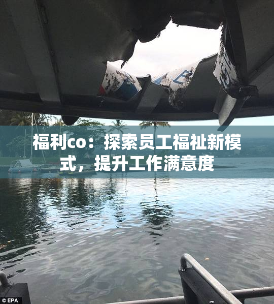 福利co：探索员工福祉新模式，提升工作满意度