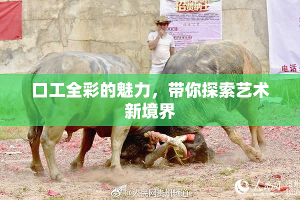 口工全彩的魅力，带你探索艺术新境界