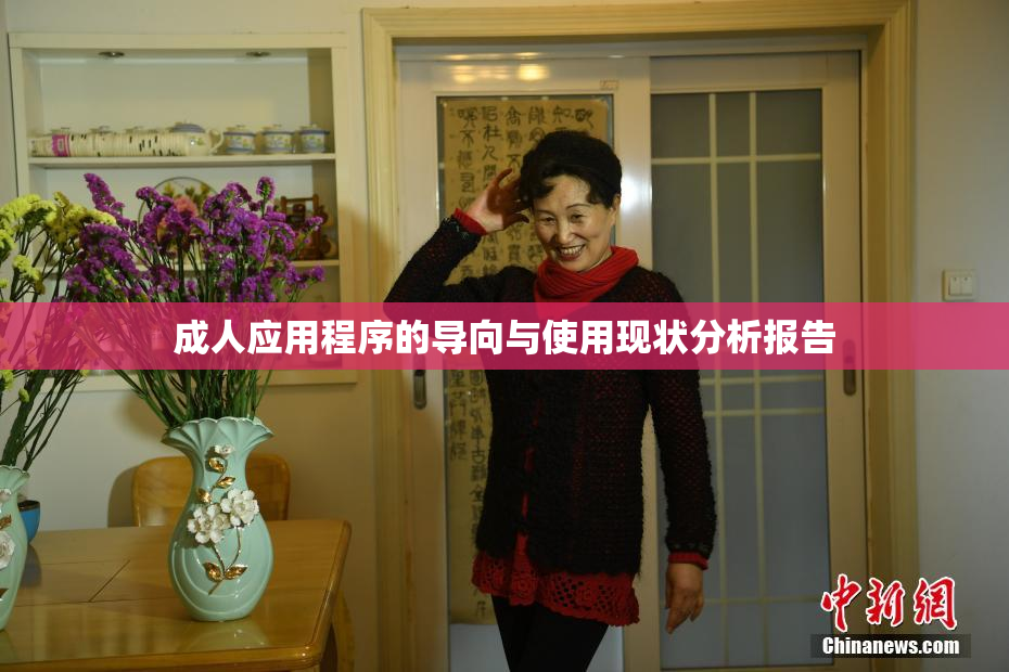 成人应用程序的导向与使用现状分析报告