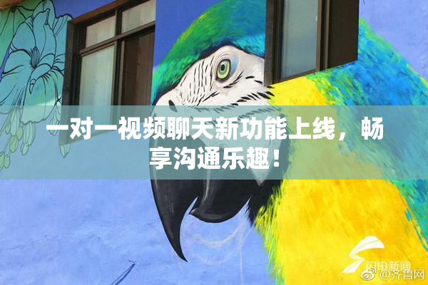 一对一视频聊天新功能上线，畅享沟通乐趣！